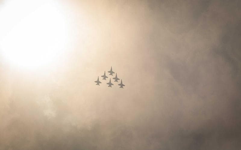 Matilda's Music Under the Pines venue photo