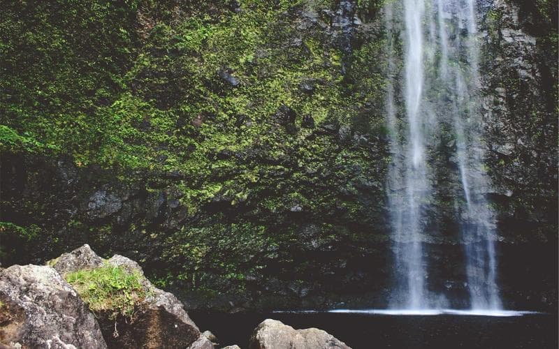 Reformation Brewery – Woodstock venue photo